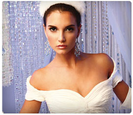 Weddings in Houston Winter Bride