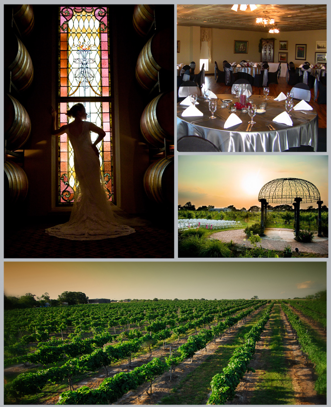 Texas Vineyard Wedding