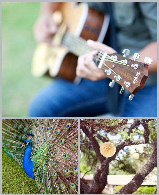 Peacock Pretty Ranch Wedding by Sarah Ainsworth Photography