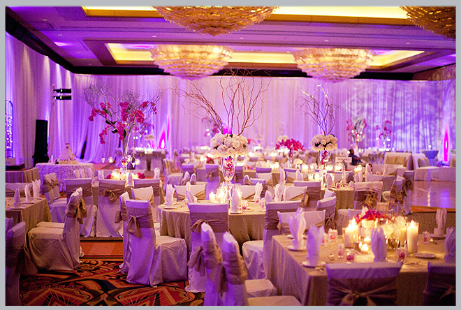 Orchid-Filled Hilton Americas Wedding By Kelly Hornberger Photography