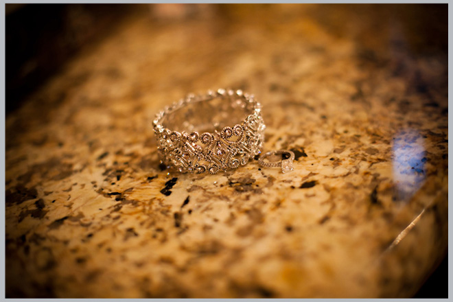 Purple and Platinum Chinese-Jewish-Longhorn Wedding by Stacy Cross Photography ~ Houston Wedding Blog