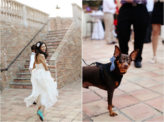 bride, groom and puppy