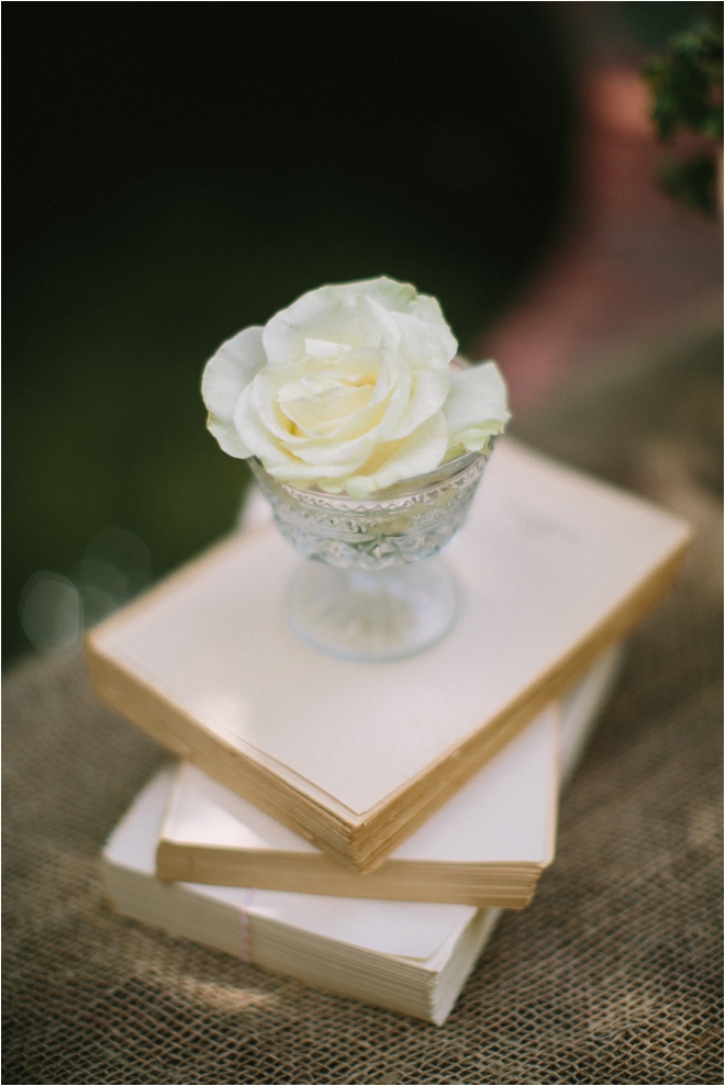 Brennan’s Garden Party Styled Wedding/Vow Renewal Shoot by Awake Photography