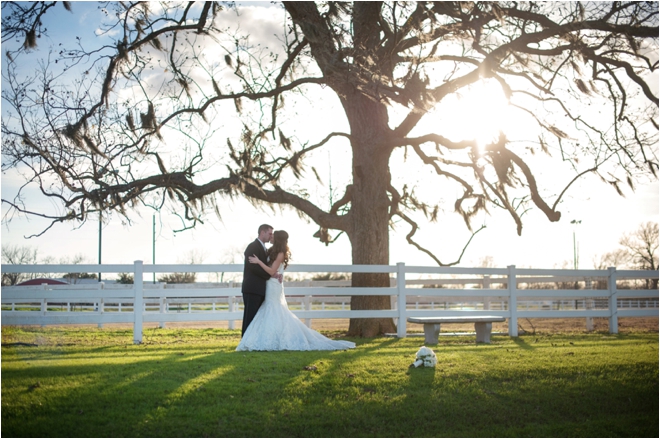 Navy and Ivory Briscoe Manor Wedding by Lindsay Elizabeth Photography