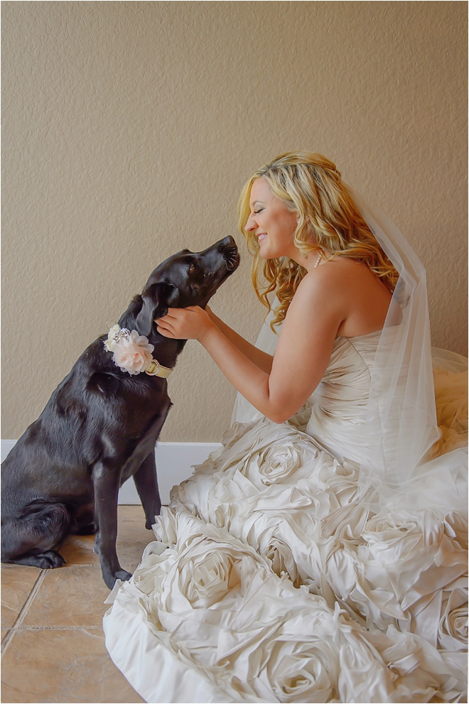 Sanctuary at Water Oak Wedding with Crystals, Cigars, Whiskey and Canine Friends