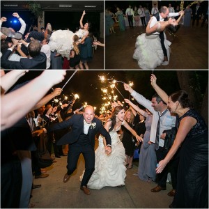 Champagne, Lavender, Sage & Blue Houston Wedding