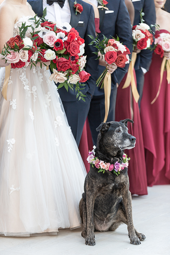 romantic valentine's day wedding westin houston medical center pets