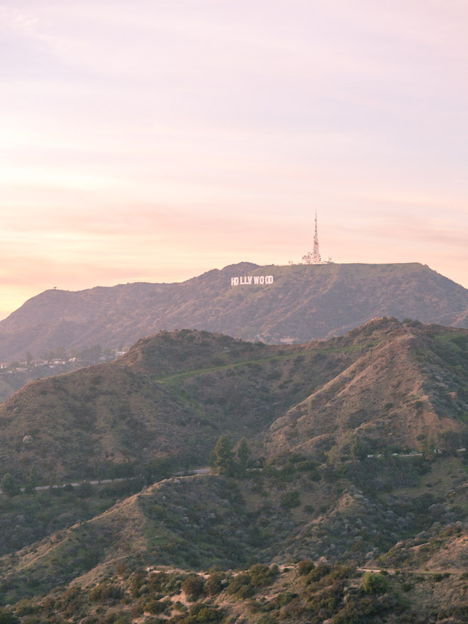 Hollywood, California, wedding photographer, Stephania Campos