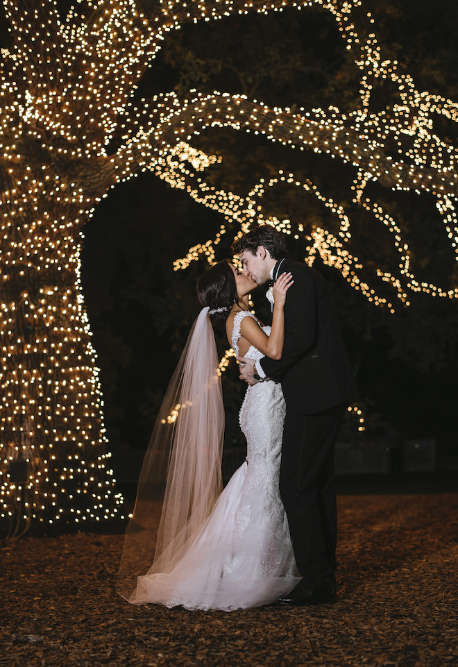 The Houstonian Hotel, Club & Spa, live oak tree, sparkling light