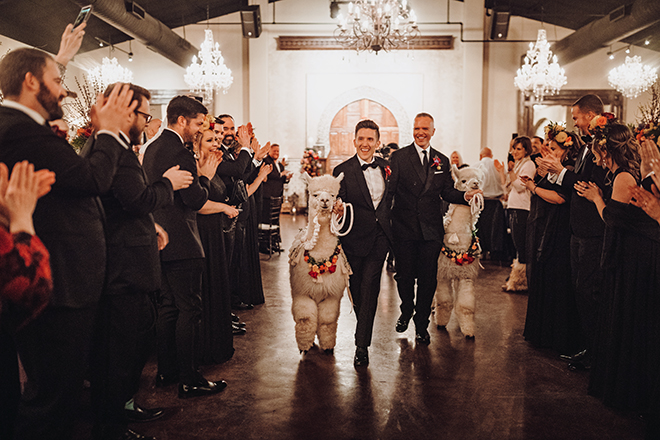 reception entrance, alpacas, madera estates, gay wedding, same sex wedding, lgbt, indoor reception