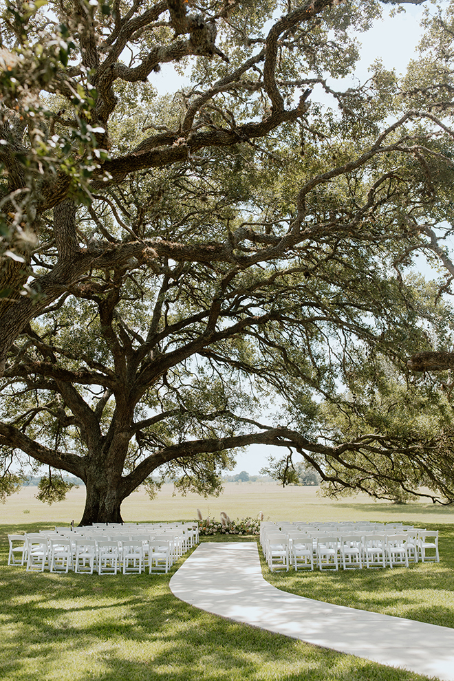 modern, boho, wedding, blush, white, black, champagne, outdoor ceremony, alfresco, simple, beautiful, tree