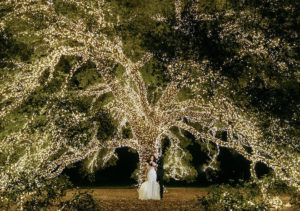 Beautiful Enchanted Wedding At The Houstonian Hotel, Club & Spa