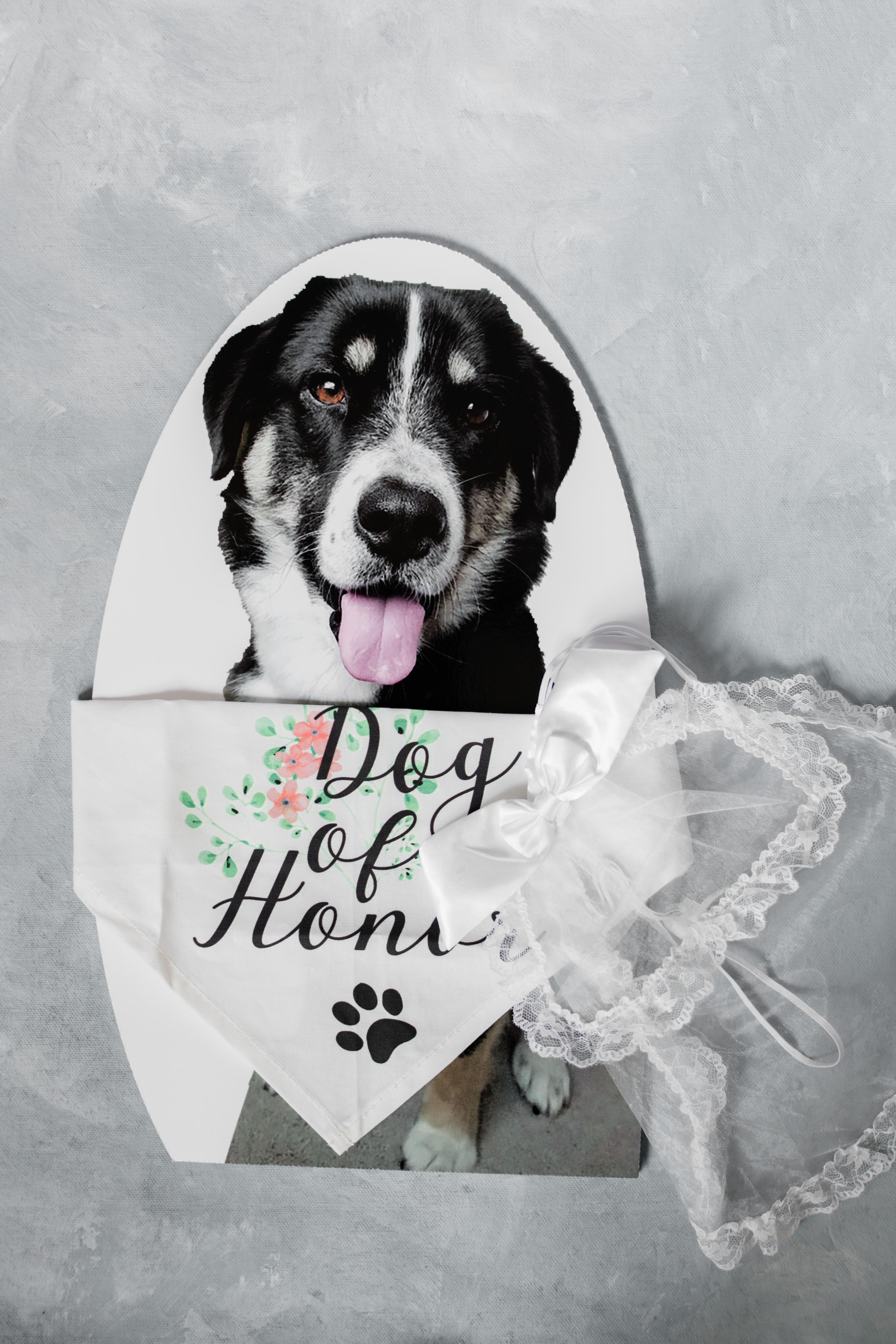 A photo of the bride and groom's dog with a bandana that says "Dog of Honor"