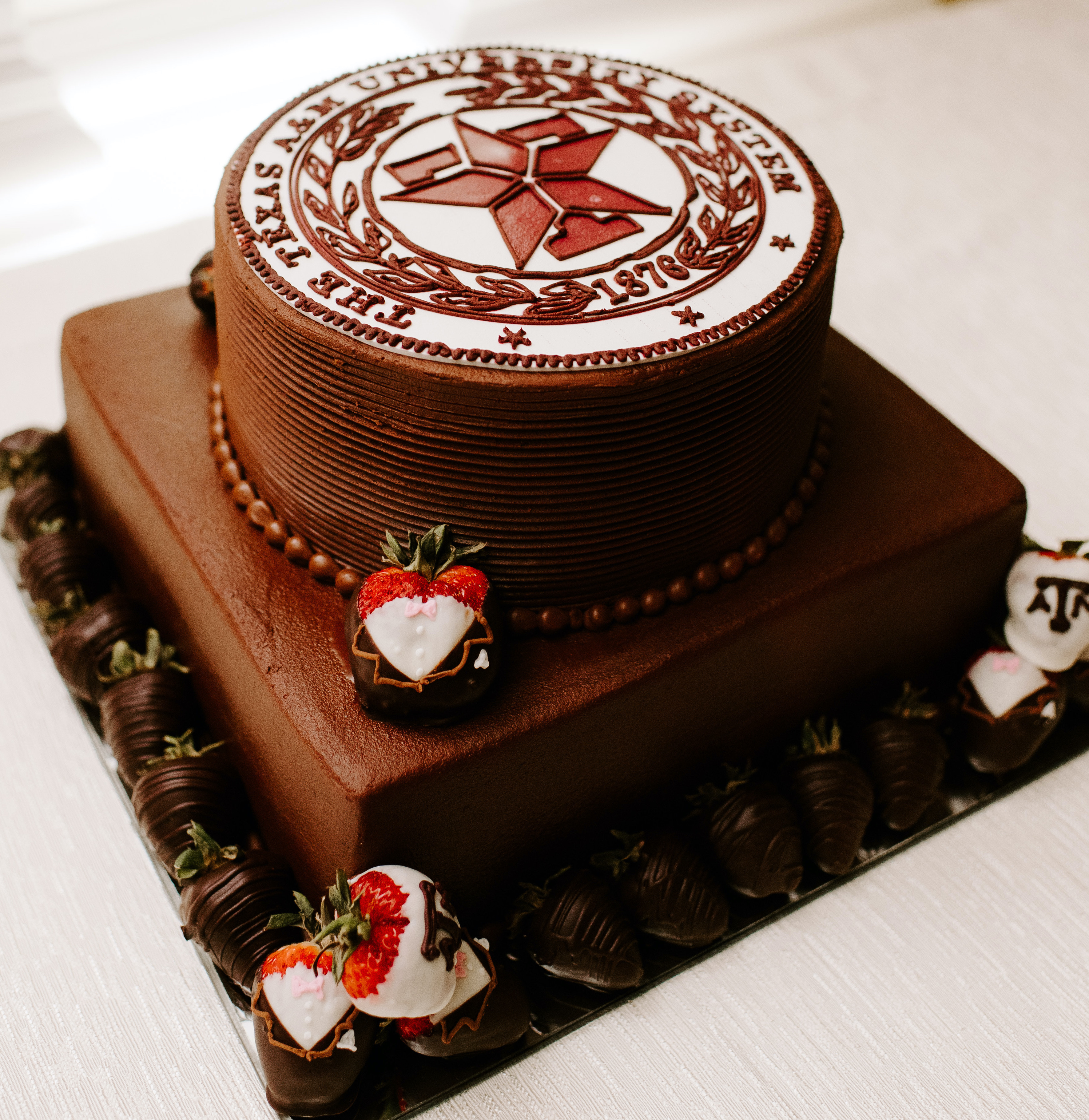 A chocolate cake with the Texas A&M seal on it.