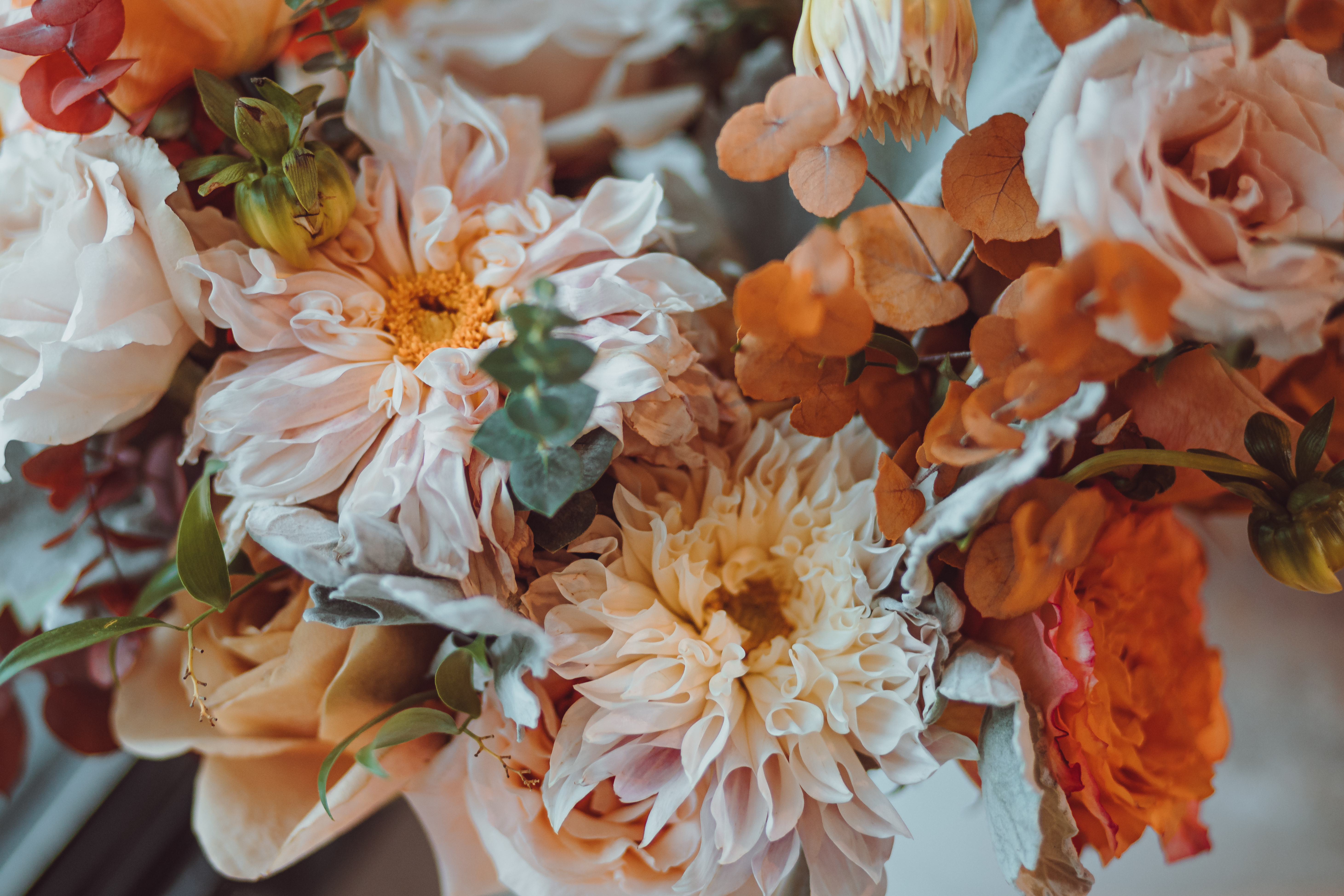 Beautiful fall Dahlias in a bridal bouquet.