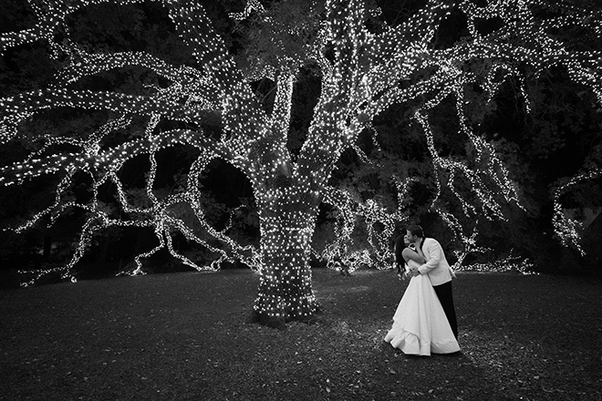 The bride and groom kissing under the lit oak tree at The Houstonian Hotel, Club & Spa. 