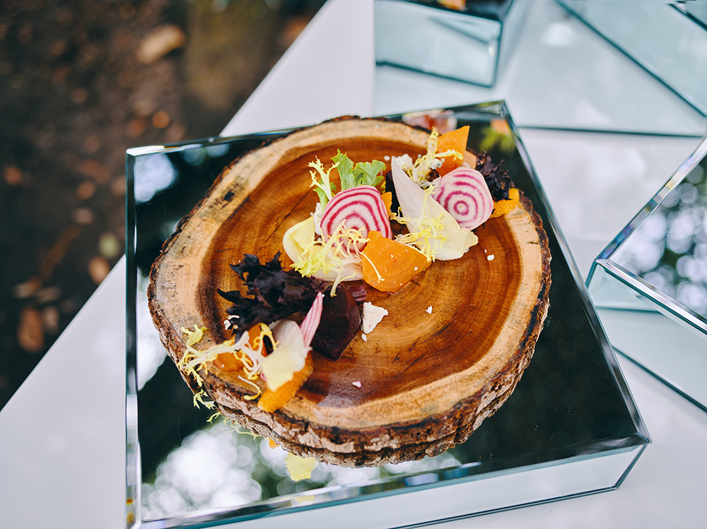 catering - appetizers
